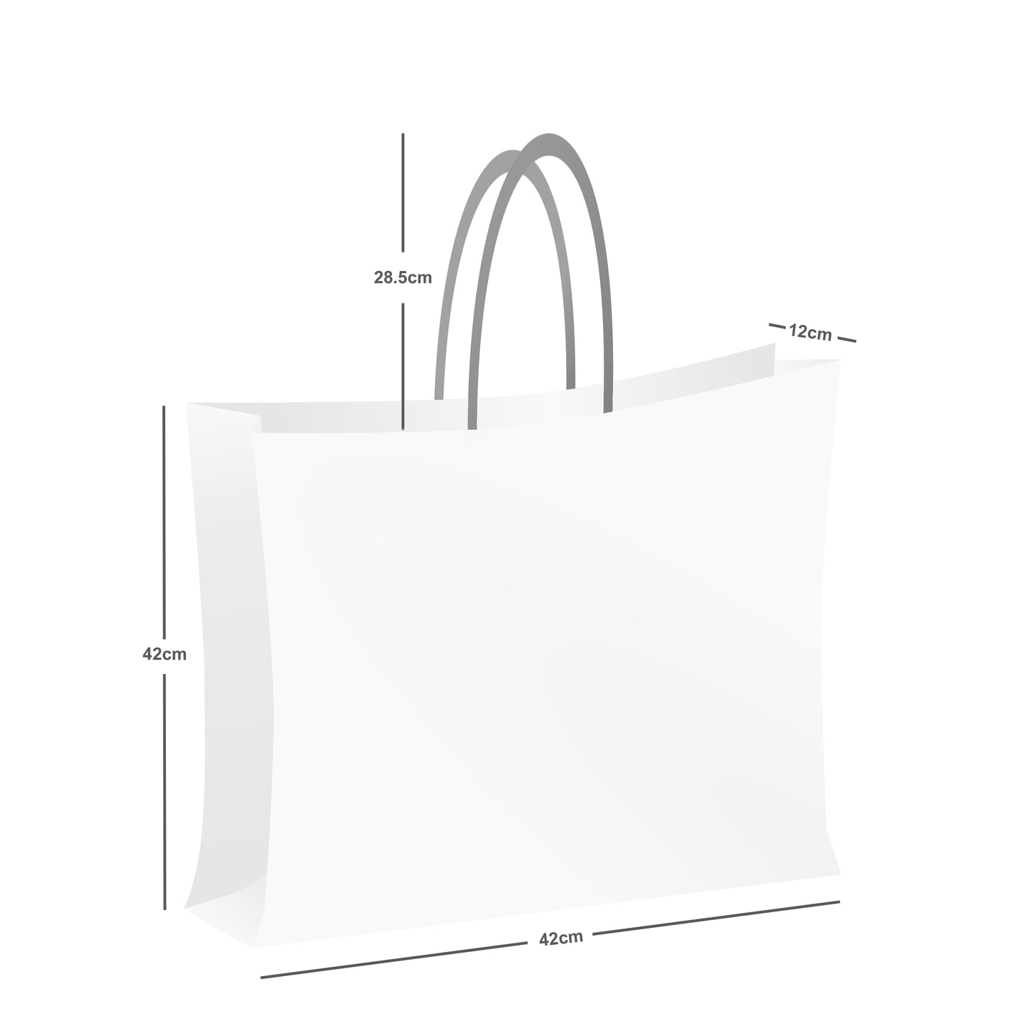 Roots Canvas Shopper Bag